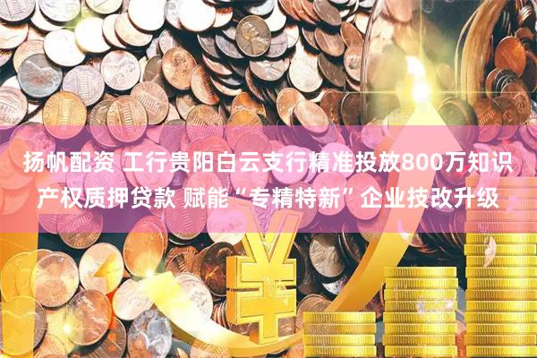 扬帆配资 工行贵阳白云支行精准投放800万知识产权质押贷款 赋能“专精特新”企业技改升级