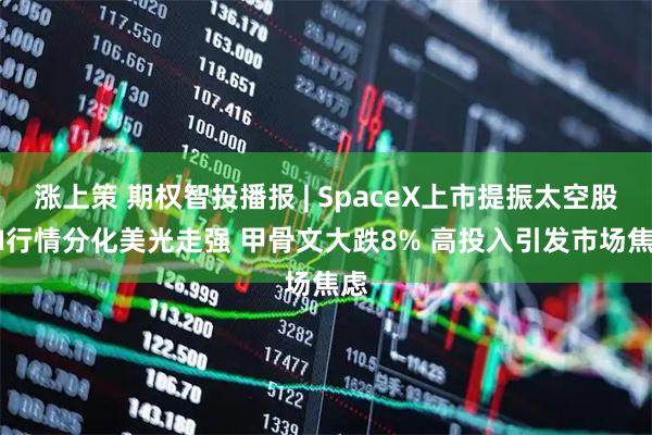 涨上策 期权智投播报 | SpaceX上市提振太空股 AI行情分化美光走强 甲骨文大跌8% 高投入引发市场焦虑